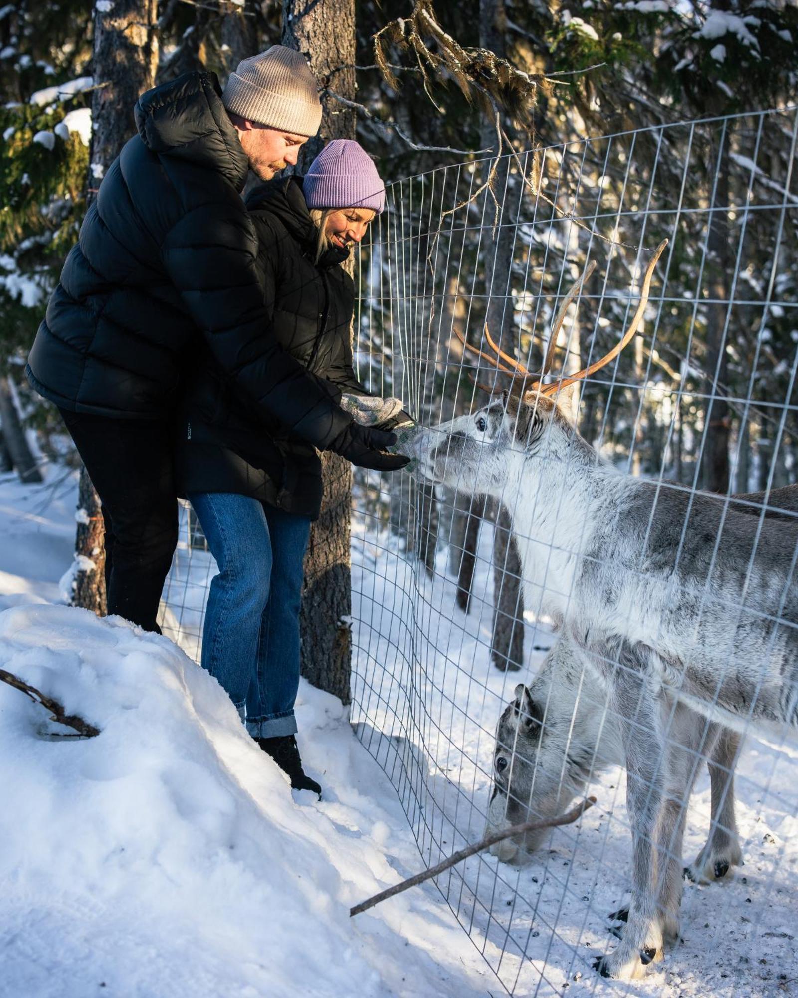 Nova Galaxy Village Rovaniemi Zewnętrze zdjęcie